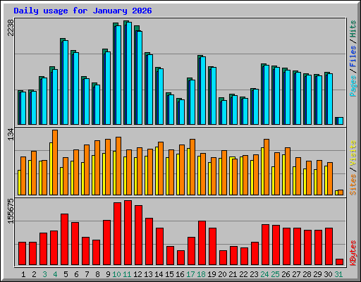 Daily usage for January 2026