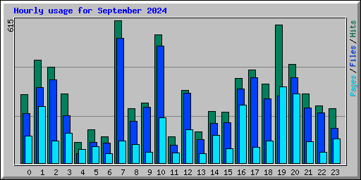 Hourly usage for September 2024