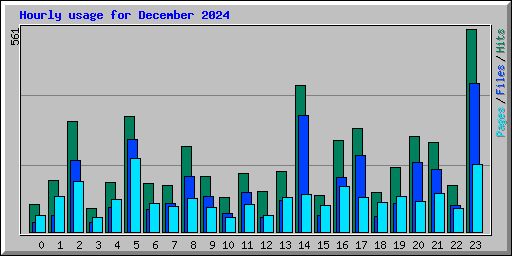 Hourly usage for December 2024