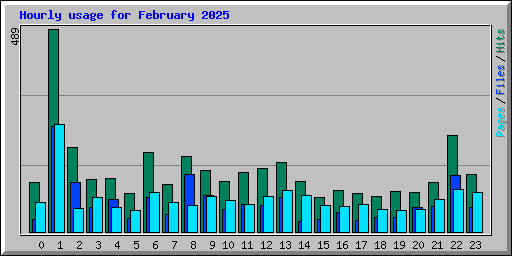 Hourly usage for February 2025