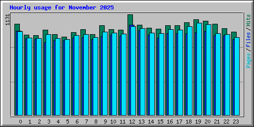 Hourly usage for November 2025