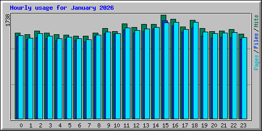 Hourly usage for January 2026
